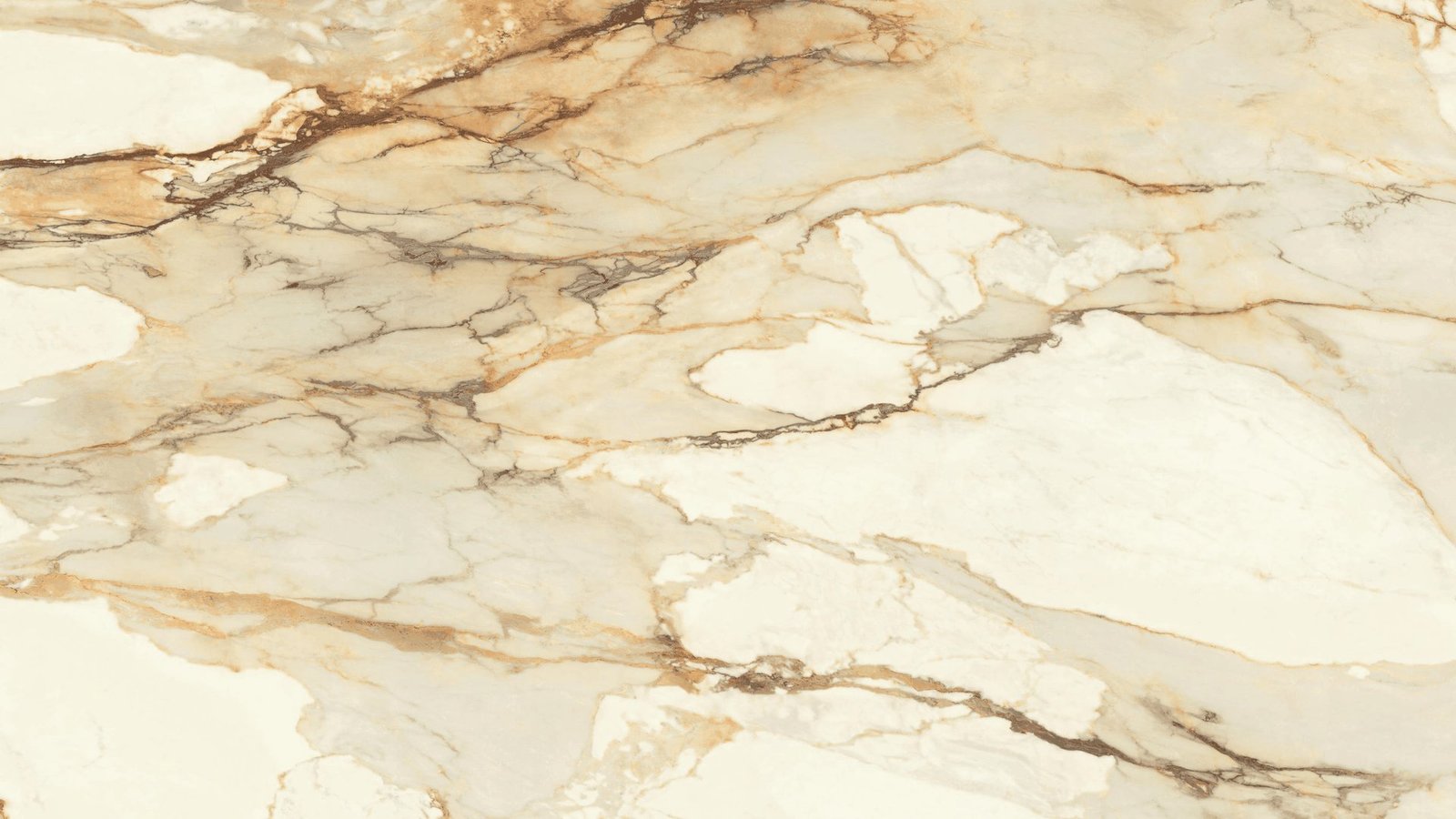 Calacatta Macchia Antique porcelain slab